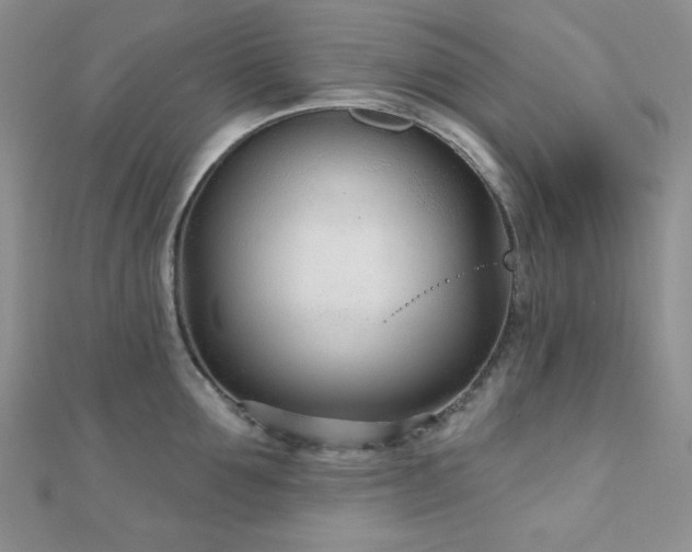 X0000110920907200906181406