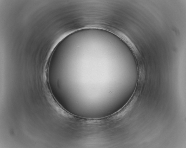 X0000110920908200906181406