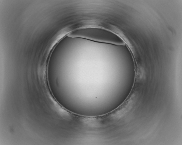 X0000110920909200906181406