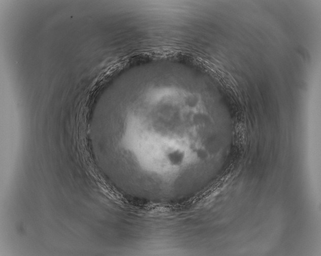 X0000110920913200906181405