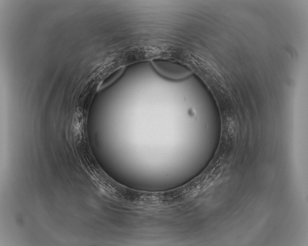 X0000110920914200906181405