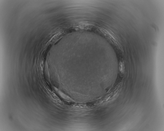 X0000110920915200906181405