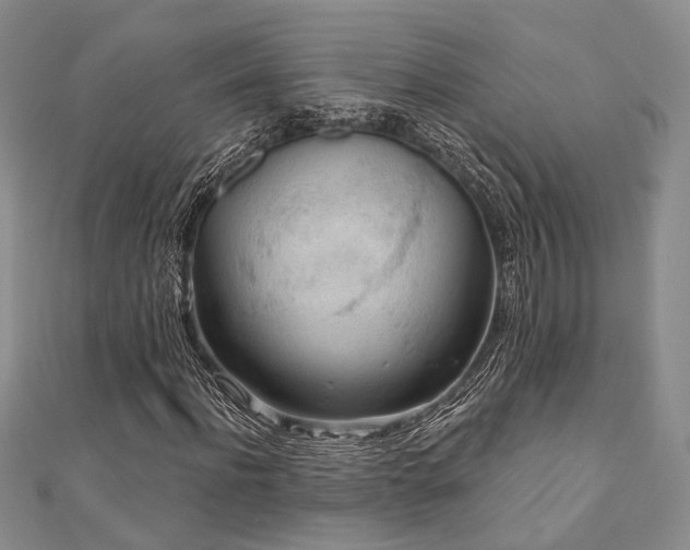 X0000110920916200906181405
