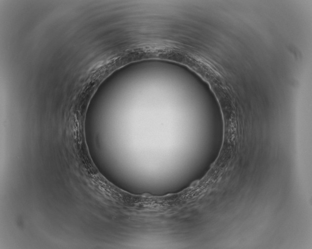 X0000110920917200906181405