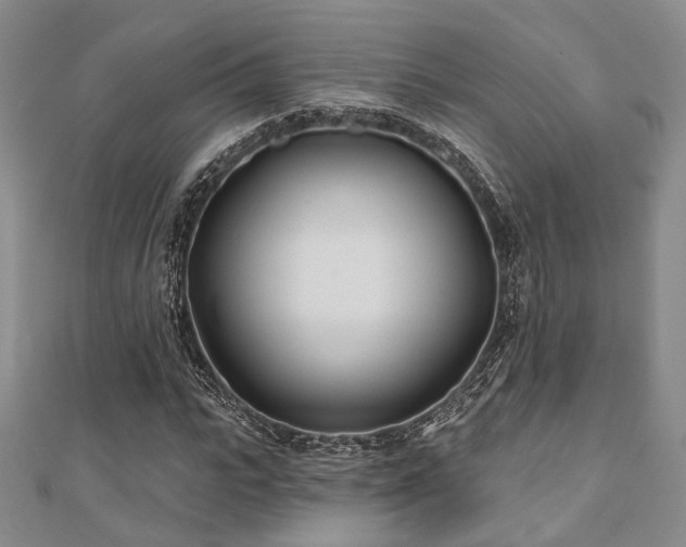 X0000110920919200906181405