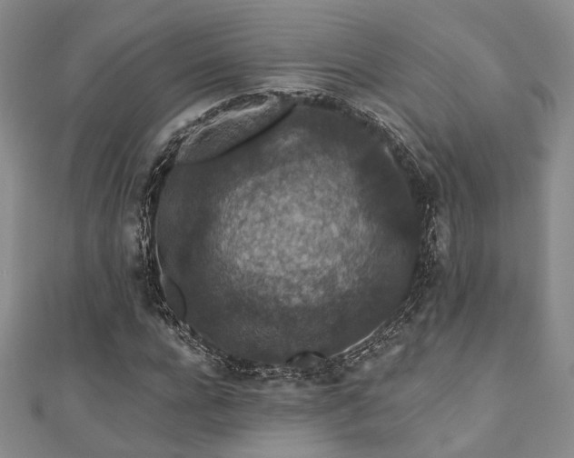 X0000110920920200906181405