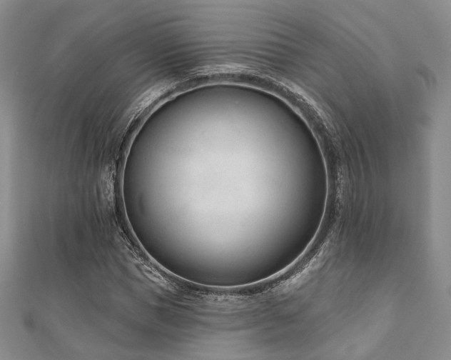 X0000110920921200906181405