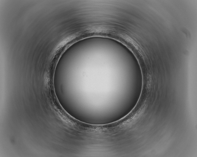 X0000110920922200906181405