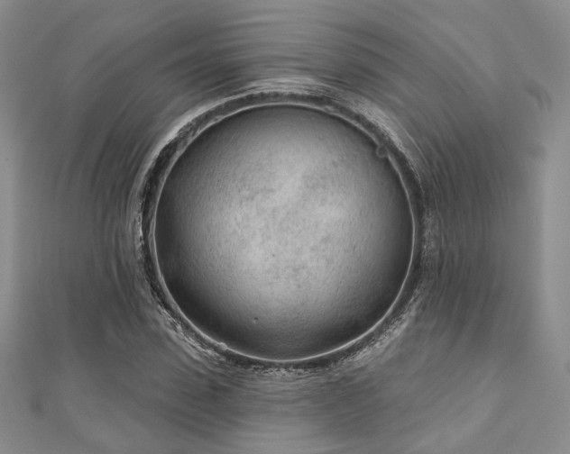 X0000110920923200906181405