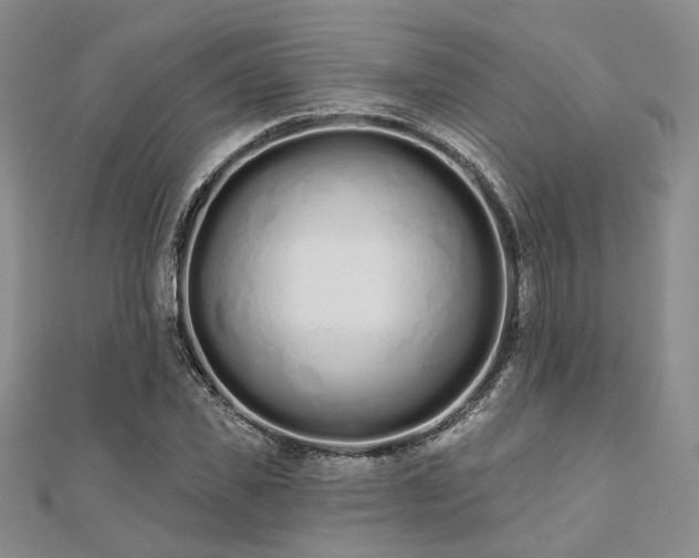 X0000110920925200906181405