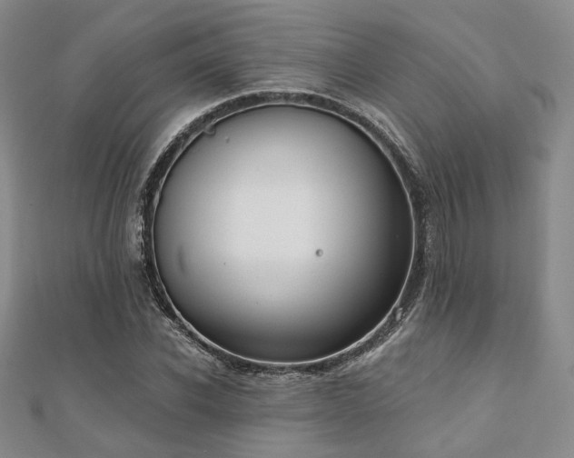 X0000110920926200906181405