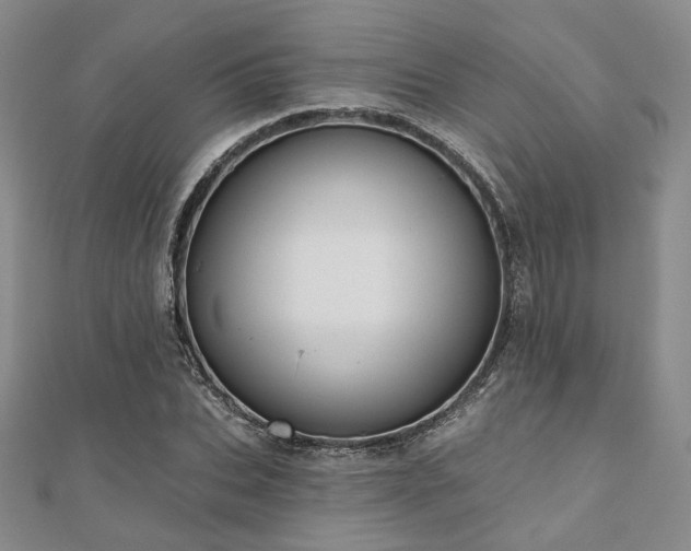 X0000110920927200906181405