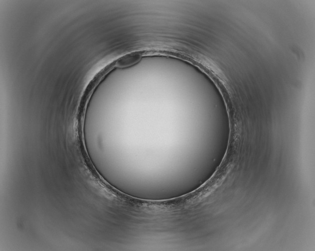 X0000110920928200906181406