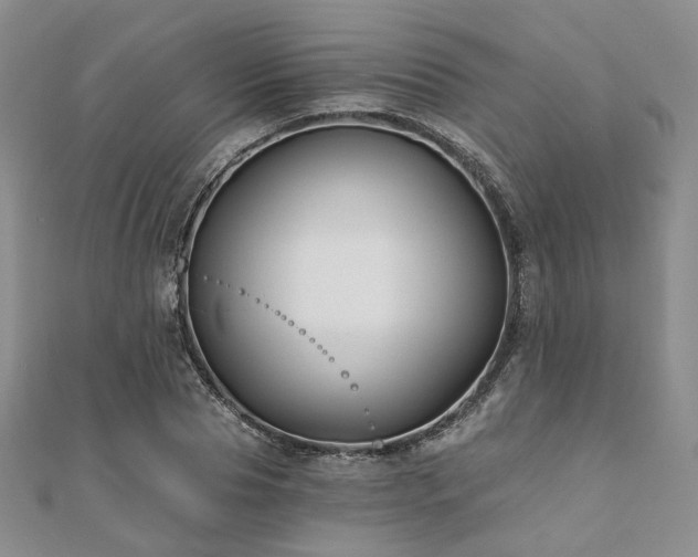 X0000110920929200906181406