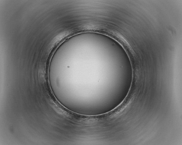 X0000110920930200906181406