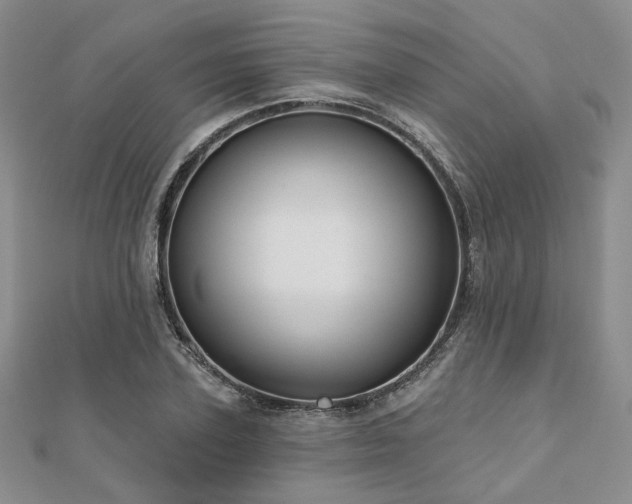 X0000110920931200906181406
