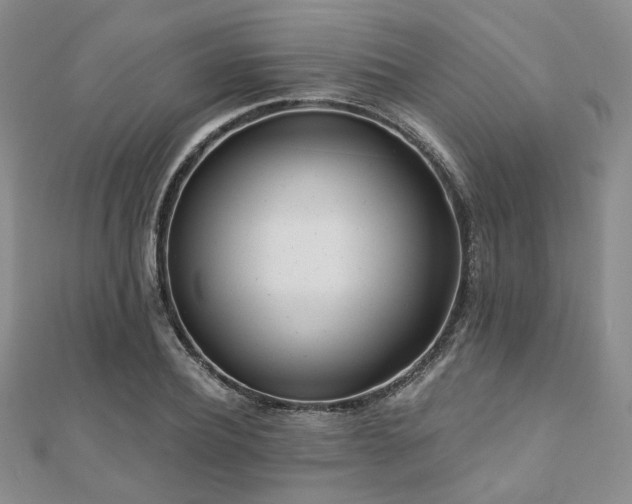 X0000110920932200906181406