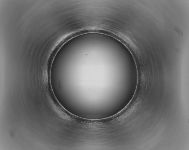X0000110920934200906181406