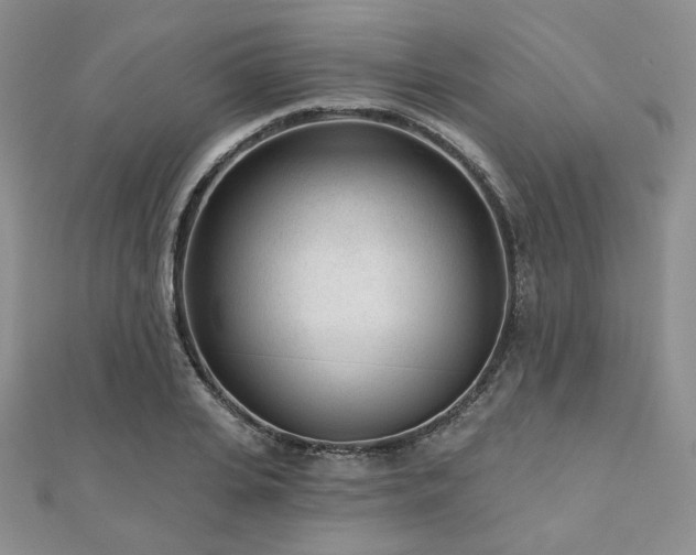 X0000110920935200906181406