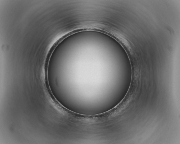 X0000110920936200906181406