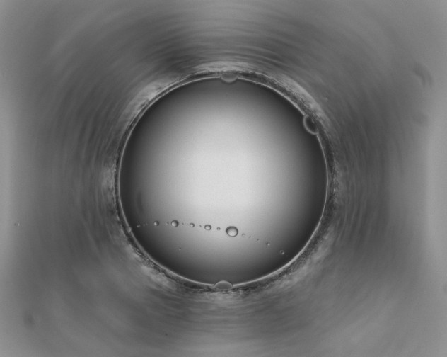 X0000110920937200906181406