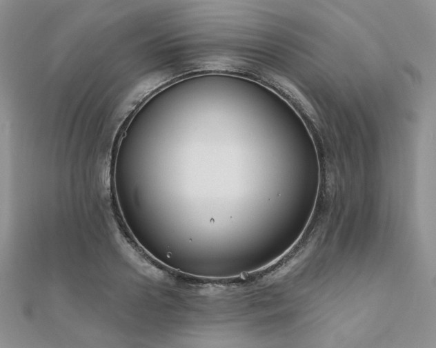 X0000110920938200906181406