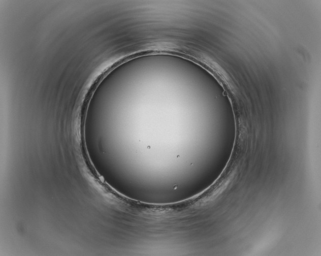 X0000110920939200906181406