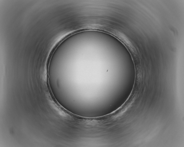 X0000110920940200906181406