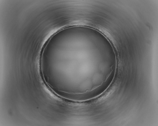 X0000110920941200906181406