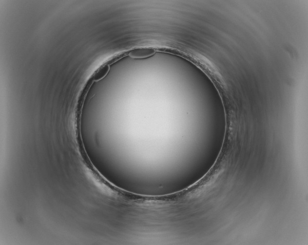 X0000110920942200906181406