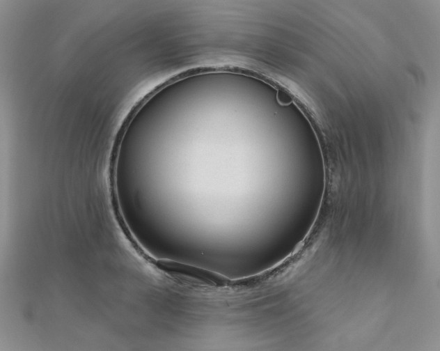 X0000110920943200906181406