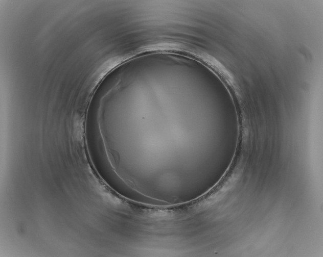 X0000110920945200906181406