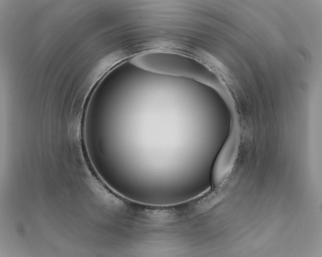 X0000110920946200906181406