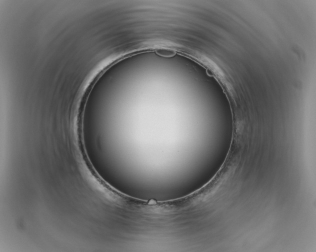 X0000110920947200906181406