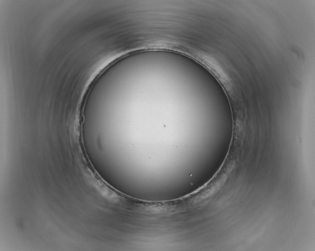 X0000110920948200906181406
