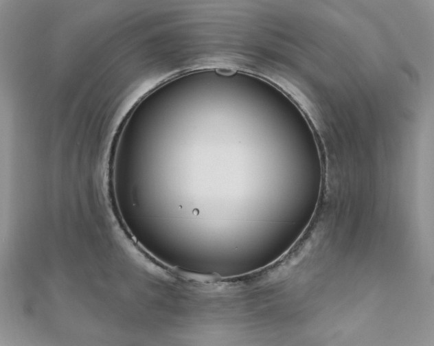 X0000110920949200906181406