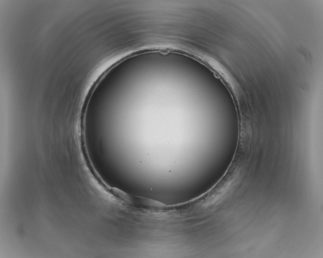 X0000110920951200906181406