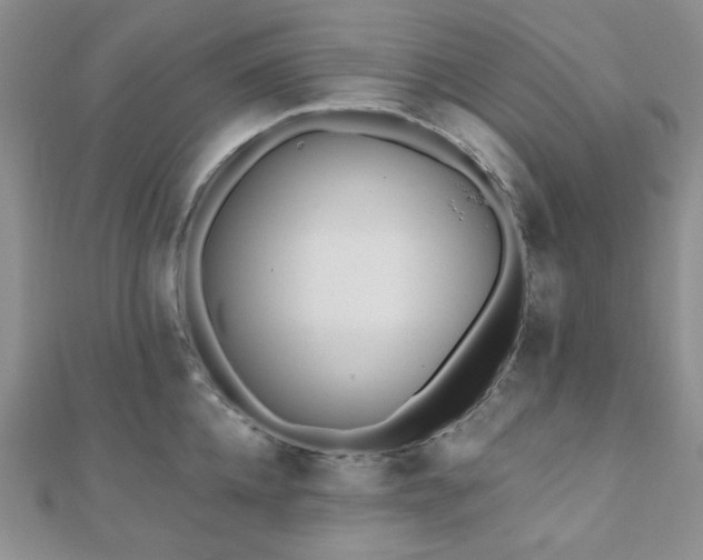 X0000110920952200906181406