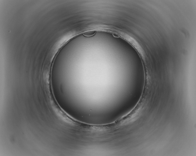 X0000110920954200906181406