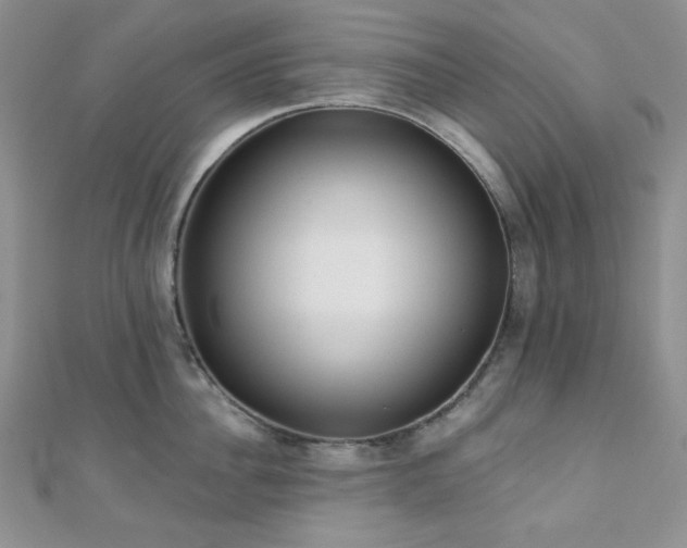 X0000110920956200906181406