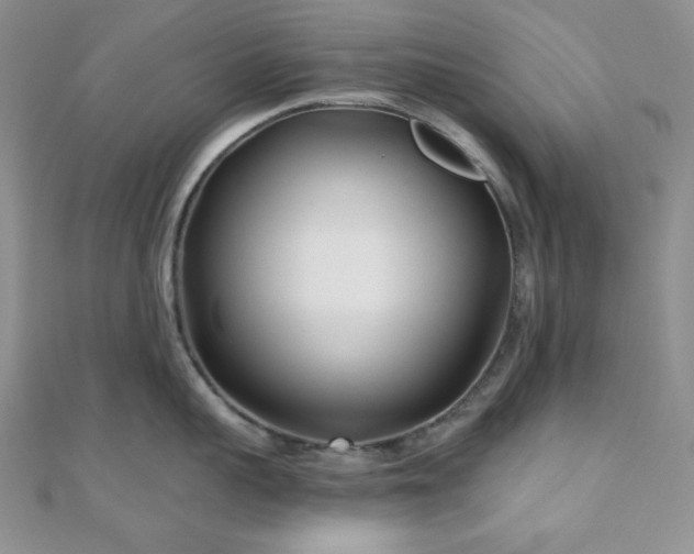 X0000110920959200906181406