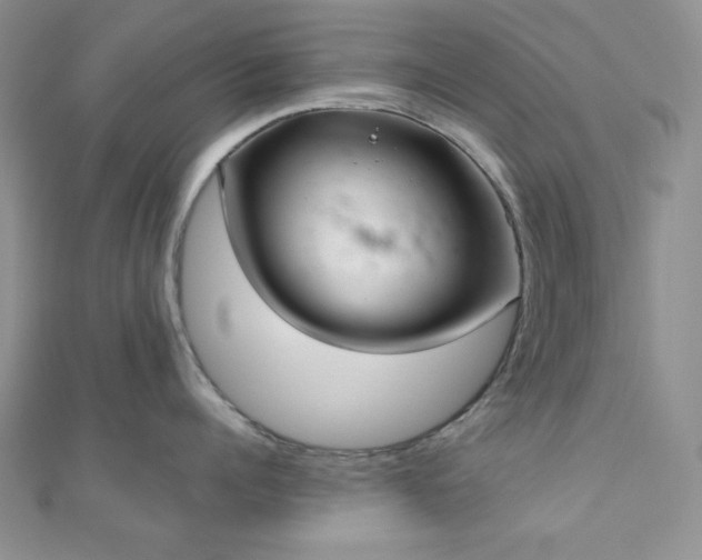 X0000110920960200906181406