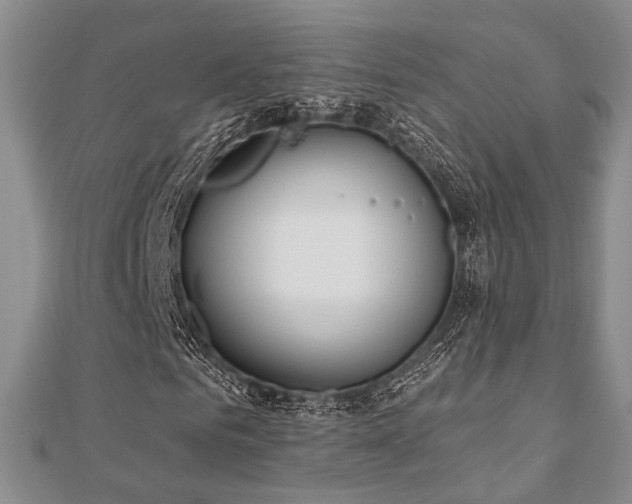 X0000110920961200906181405