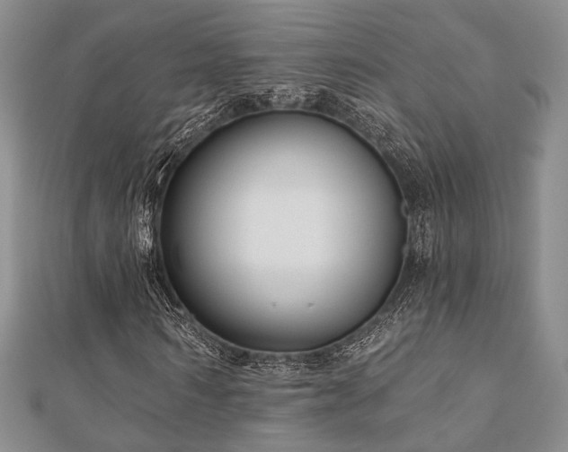 X0000110920962200906181405