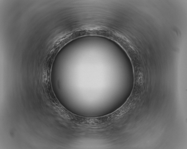 X0000110920966200906181405
