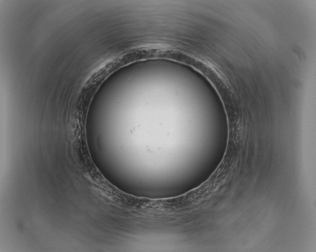 X0000110920967200906181405