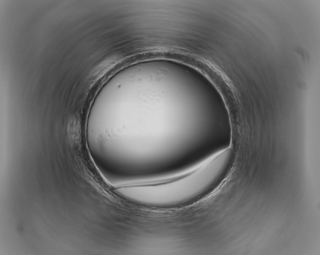 X0000110920969200906181405