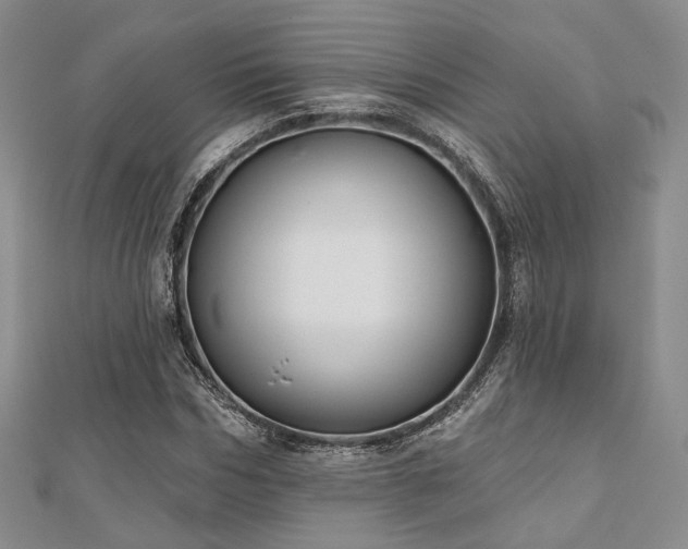 X0000110920970200906181405