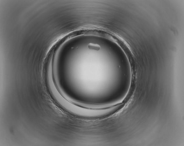 X0000110920973200906181405