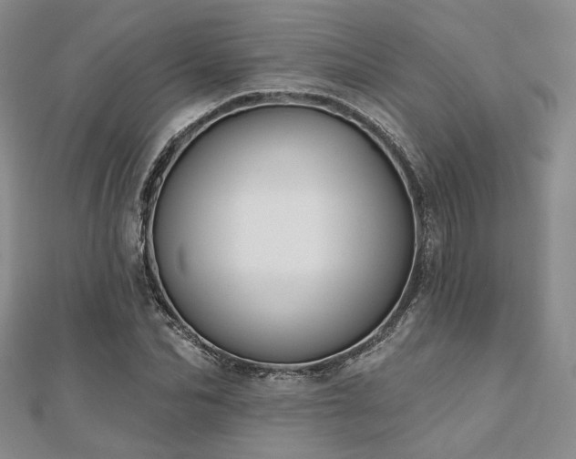 X0000110920974200906181405